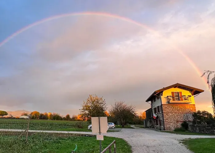 Cabina: Casal Micelio
